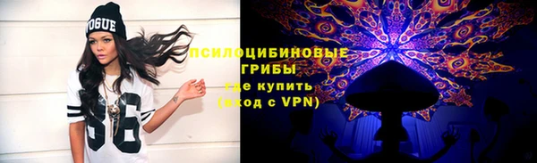 ПСИЛОЦИБИНОВЫЕ ГРИБЫ Абинск