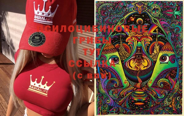 ПСИЛОЦИБИНОВЫЕ ГРИБЫ Абинск