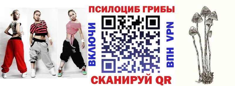 купить  цена  Абдулино  Галлюциногенные грибы прущие грибы 