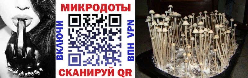 Псилоцибиновые грибы MAGIC MUSHROOMS Абдулино